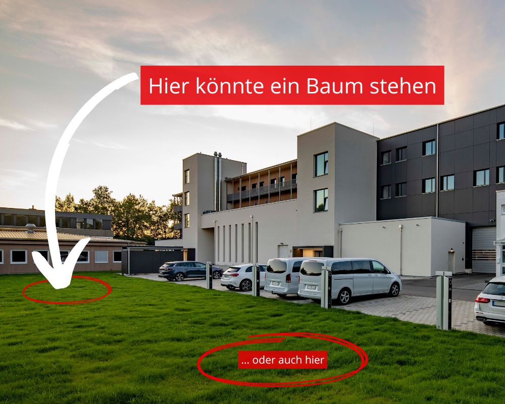 Hier könnte ein Baum stehen